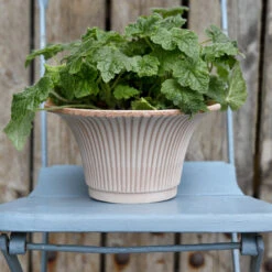 Bergs Potter Daisy Ruukku Ø25 Cm -Muuto kauppa 38168 02 02 c68a856839