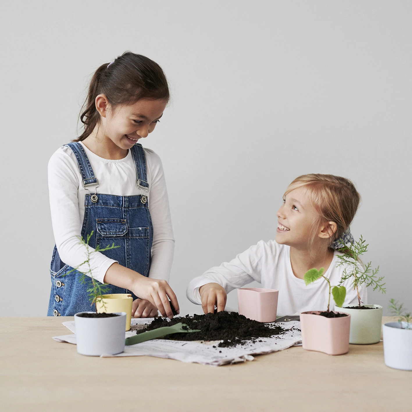 RIG TIG YOUR TREE -ruukku Siemenillä 6 RIG TIG YOUR TREE -ruukku Siemenillä - Image 4