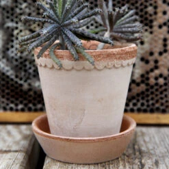 Bergs Potter Helena Ruukku Ø10 Cm 8 Bergs Potter Helena Ruukku Ø10 Cm -Muuto kauppa 44194 01 02 8d29622c43