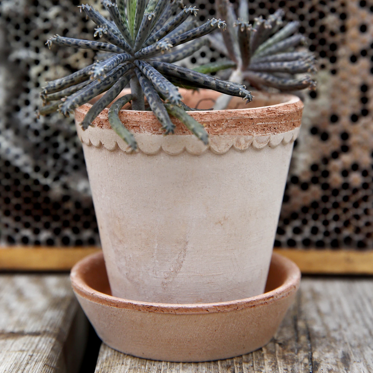 Bergs Potter Helena Ruukku Ø10 Cm 5 Bergs Potter Helena Ruukku Ø10 Cm - Image 3