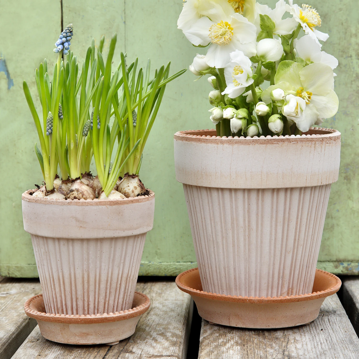 Bergs Potter Simona Ruukku Ø18 Cm 4 Bergs Potter Simona Ruukku Ø18 Cm - Image 2