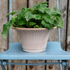 Bergs Potter Daisy Ruukku Ø30 Cm -Muuto kauppa 46761 02 02 87ace58136