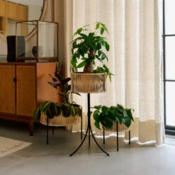 Menu Umanoff Kasvien Kukkalaatikko Rottinki-teräs -Muuto kauppa 47124 02 04 9a34c63cd8