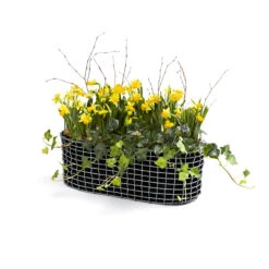 Korbo Parvekekori 14 Korbo Parvekekori -Muuto kauppa 513349 01 4 ProductImageExtra 491686a042