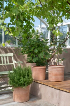 Bergs Potter Modena Ruukku Ø 40 Cm -Muuto kauppa 572407 01 41 EnvironmentImage b3427167a2