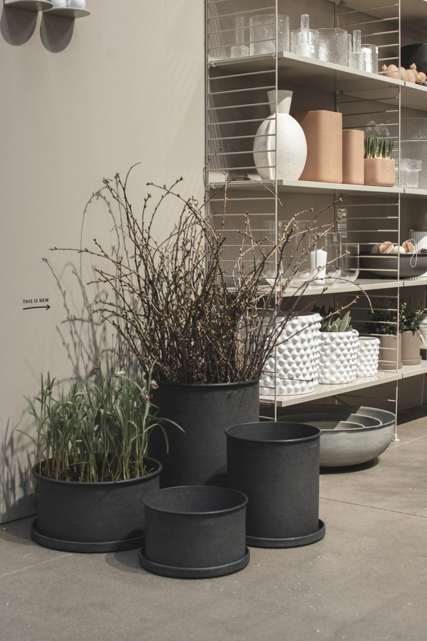 DBKD Plant Bowl -ruukku 2-pakkaus 4 DBKD Plant Bowl -ruukku 2-pakkaus - Image 2